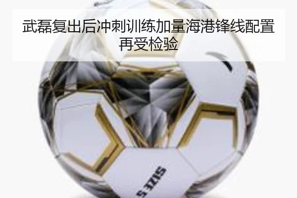 武磊复出后冲刺训练加量海港锋线配置再受检验 - huatihui